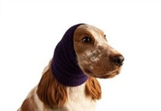 Hovedbilde Show Tech Ear Buddy L