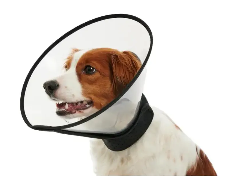 BUSTER Complete Collar 10 cm
