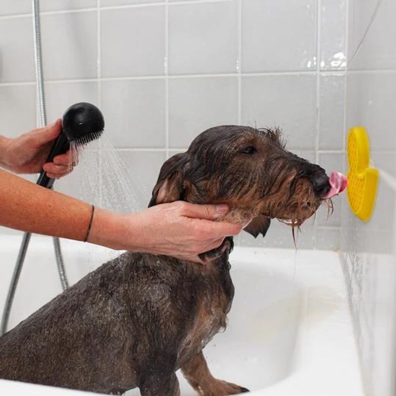 Afp Calm Paws Badeand